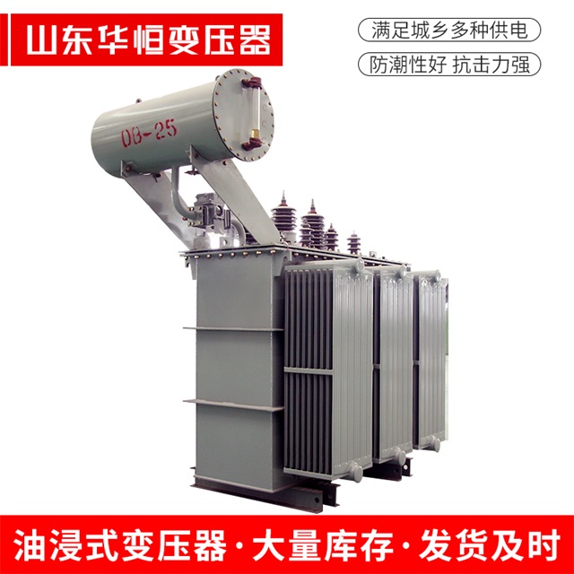 S11-10000/35点军点军点军电力变压器厂家